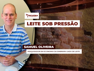 pecuaria ent 3