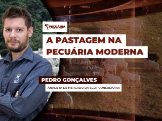 pecuaria ent 3