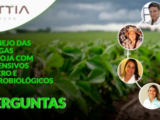 Perguntas