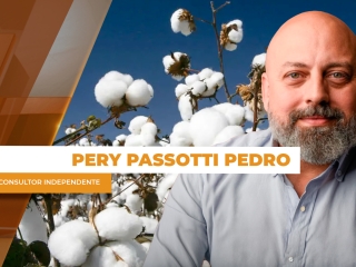 pery 2