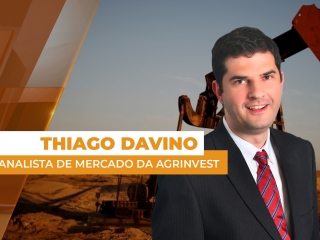 PETROLEO 31