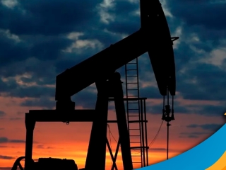 petroleo--