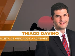petroleo site