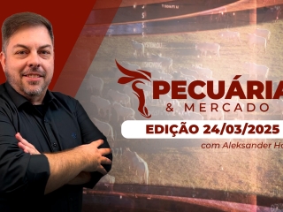 P&M - ÍNTEGRA