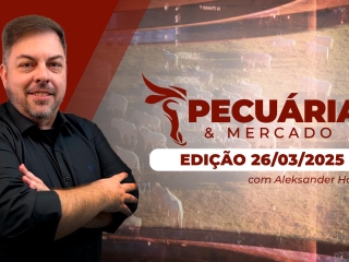 P&M - ÍNTEGRA