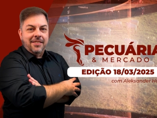 P&M - ÍNTEGRA