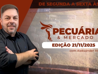 P&M - ÍNTEGRA