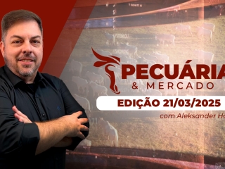 P&M - ÍNTEGRA