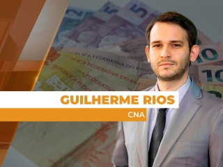 politica site