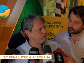 politicos