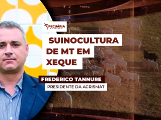PROTEÍNAS-ANIMAIS