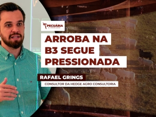 rafael