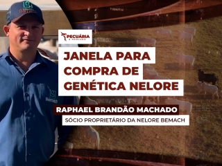 raphael