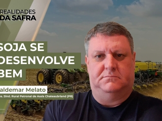 Realidades da Safra 18 yt