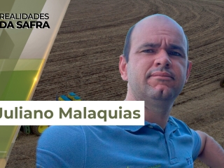 Realidades da Safra 29  site