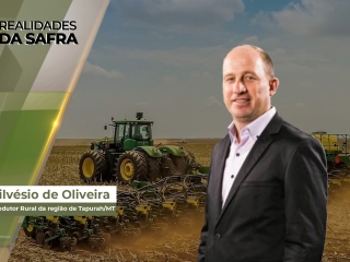 Realidades da Safra