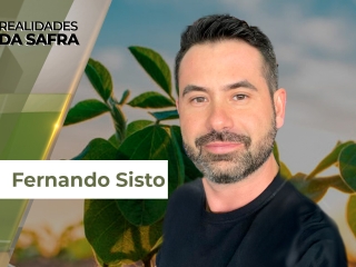 Realidades da Safra 5 site