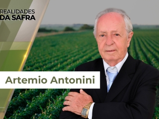Realidades da Safra 6 - site
