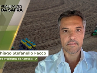 Realidades da Safra