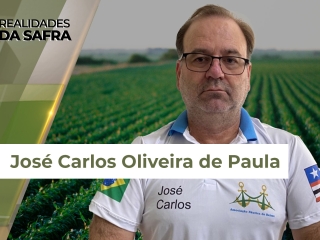 Realidades da Safra Jose Carlos site