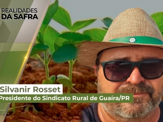 Realidades da Safra site