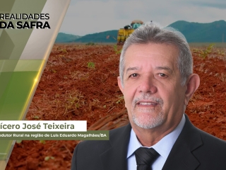 Realidades da Safra site