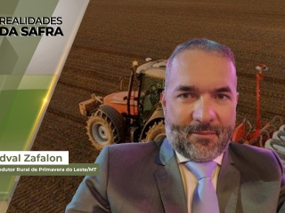 Realidades da Safra site