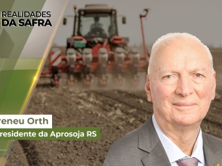 Realidades da Safra site