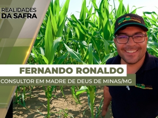 REALIDADES - ENTREVISTADO 01 - SITE
