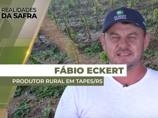 realidades fabio - site