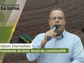 REALIDADES-SITE