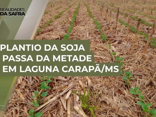 realidades-soja-08
