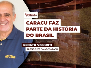 renato