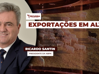 RICARDO
