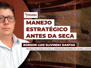 ROBSON