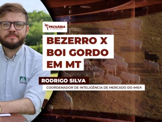 rodrigo