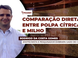 rodrigo costa gomes yt
