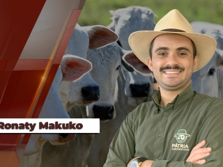 Ronaty-Makuko