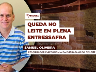 samuel