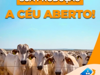 Seu-depósito-a-céu-aberto