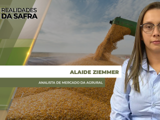 site-Alaide
