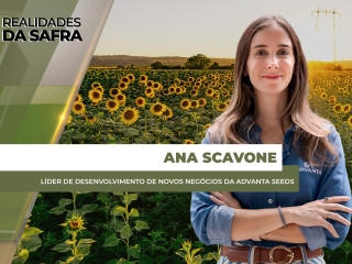 site Ana Scavone
