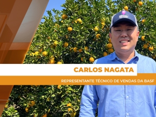 site Carlos Nagata