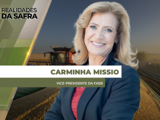 site-Carminha