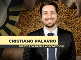 site-Cristiano-Palavro