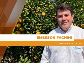 site Emerson