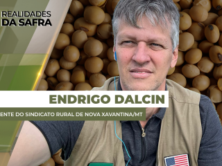 site-ENDRIGO-Dalcin