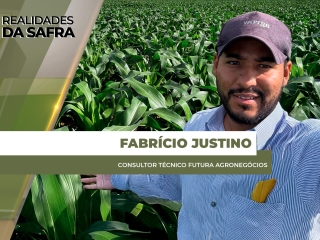 site Fabricio Justino