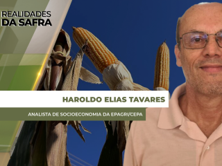 site-HAROLDO