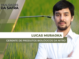 site Lucas Muraoka